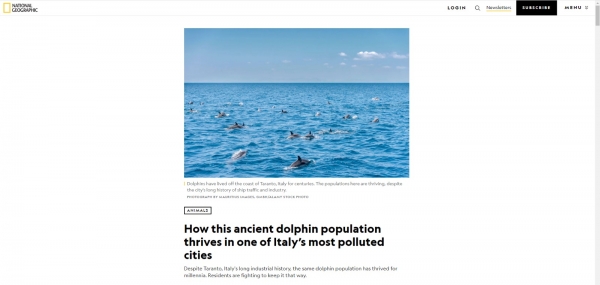 Taranto e i suoi delfini sul &quot;National Geographic&quot;