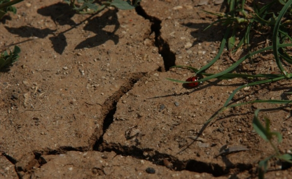 Emergenza idrica, la Provincia di Taranto al fianco di Coldiretti